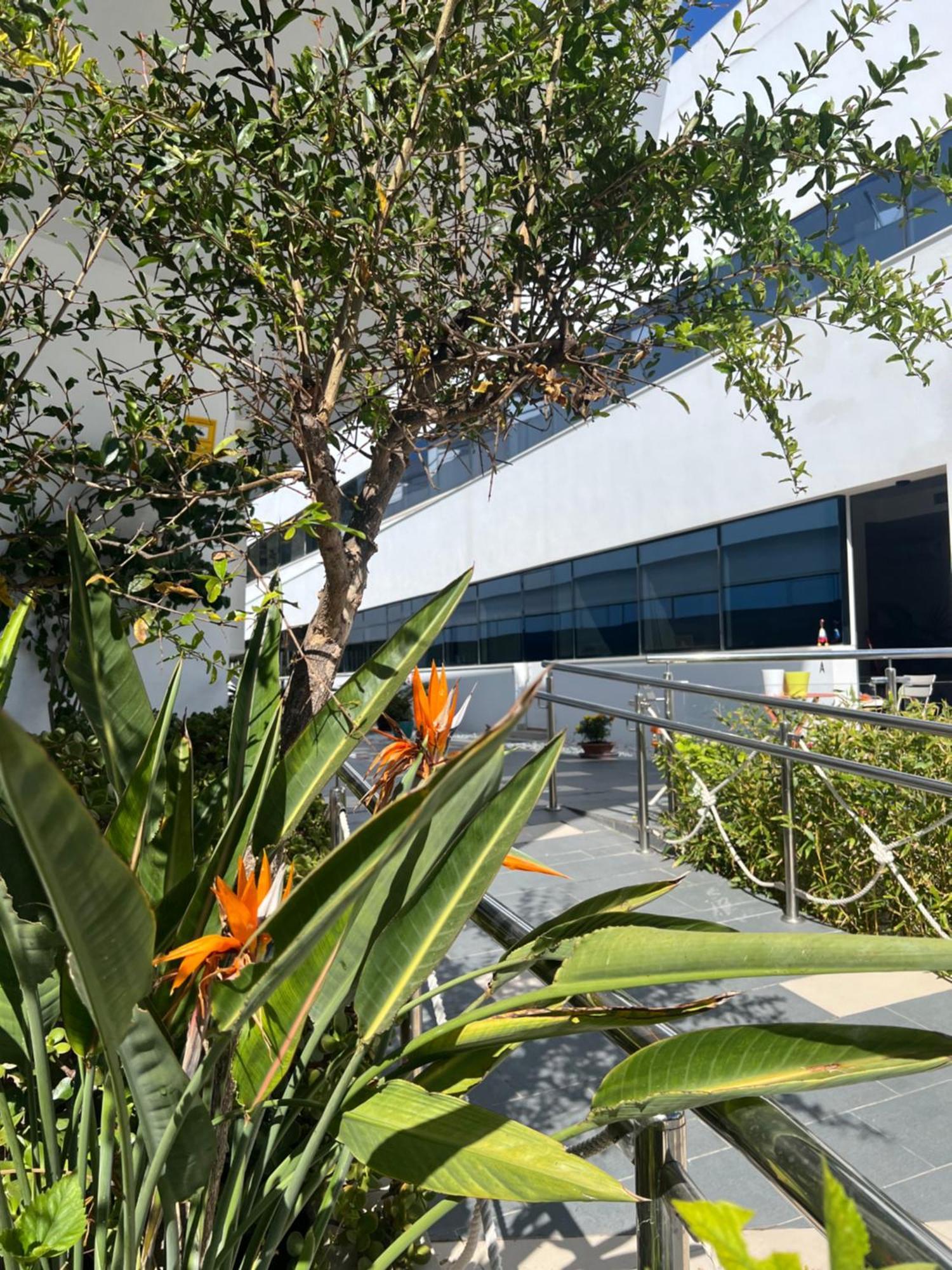 אל פוארטו דה סנטה מריה Ancla Real Apartamentos Loft מראה חיצוני תמונה
